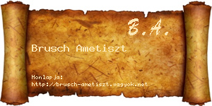 Brusch Ametiszt névjegykártya